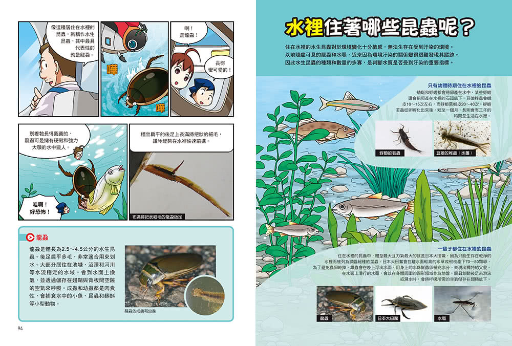漫畫大英百科【生物地科1】：昆蟲與蜘蛛
