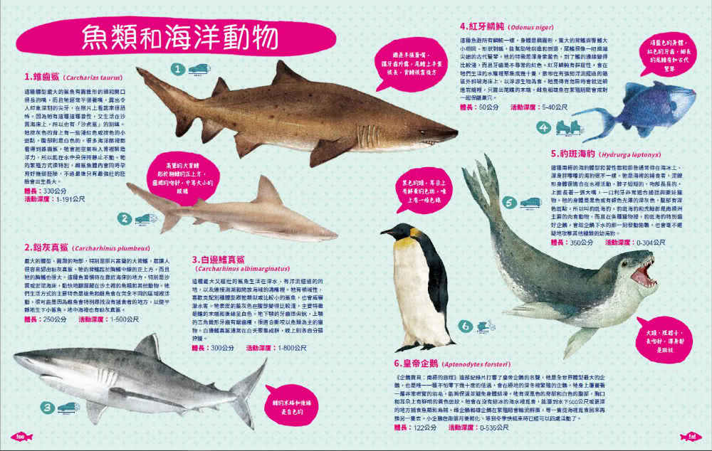 世界上有哪些魚？：魚類、海洋動物與牠們生活的大海