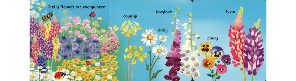 【麥克兒童外文】Flowers And Plants／Lift And Look