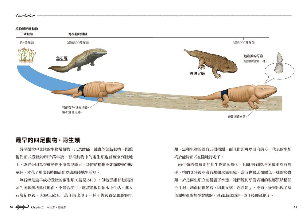 超獵奇！人體動物圖鑑（2）鯊魚的下巴會往前飛出