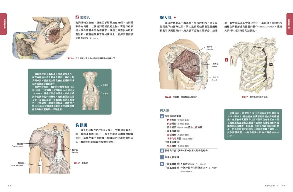 人體解剖全書 第三版