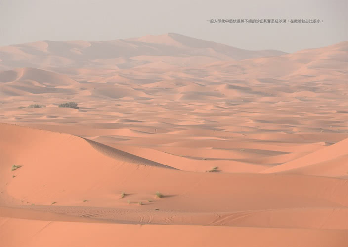 沙漠化為一口井：我所知的三毛的撒哈拉