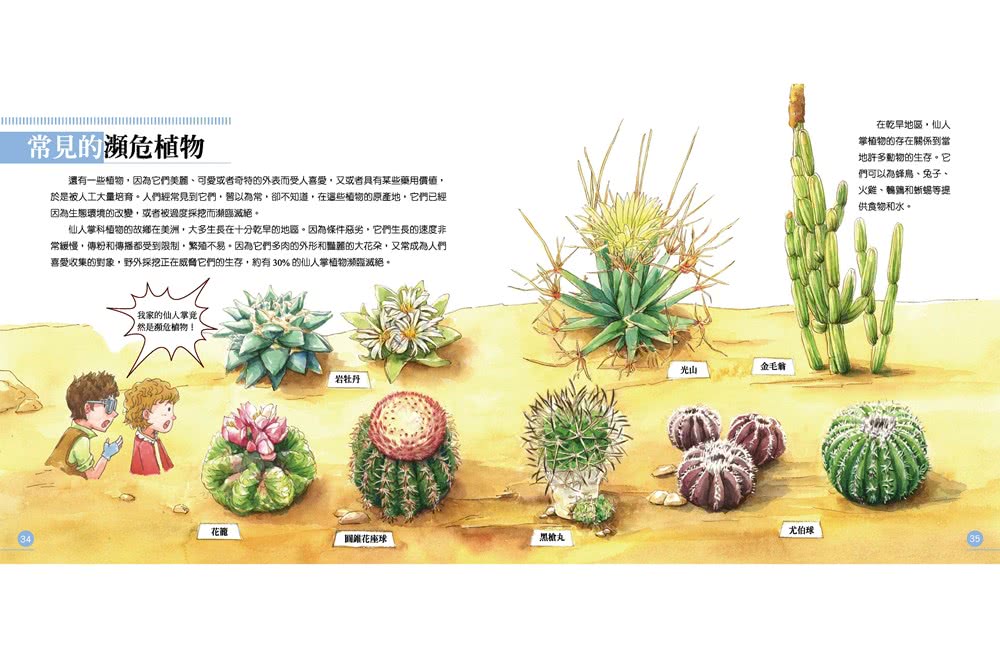 我的第一本植物演化圖鑑：從被子植物稱霸到人與植物共生（贈市價199元毛氈餐墊／杯墊組）