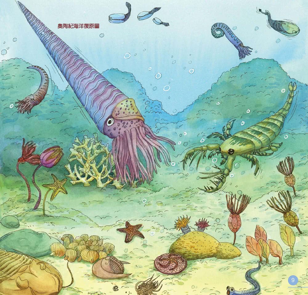 動物演化圖鑑：古生代的生命故事（贈市價320元科普風圖文筆記書）