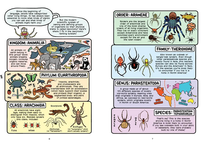 Sipders: Worldwide Webs （Science Comics）