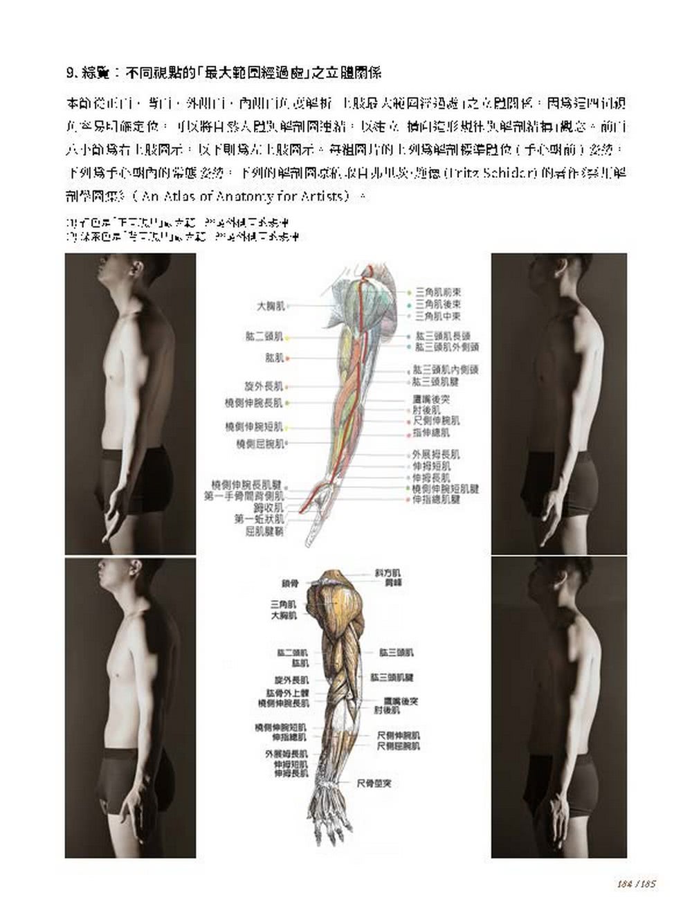 人體造形規律與解剖結構