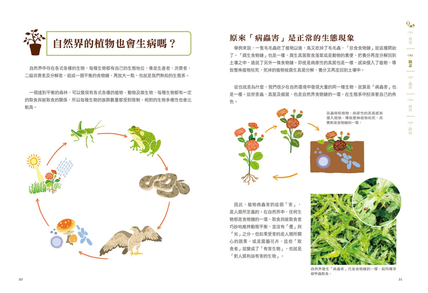 請問植物醫生：植物病蟲害圖鑑與防治（2024年暢銷增訂）