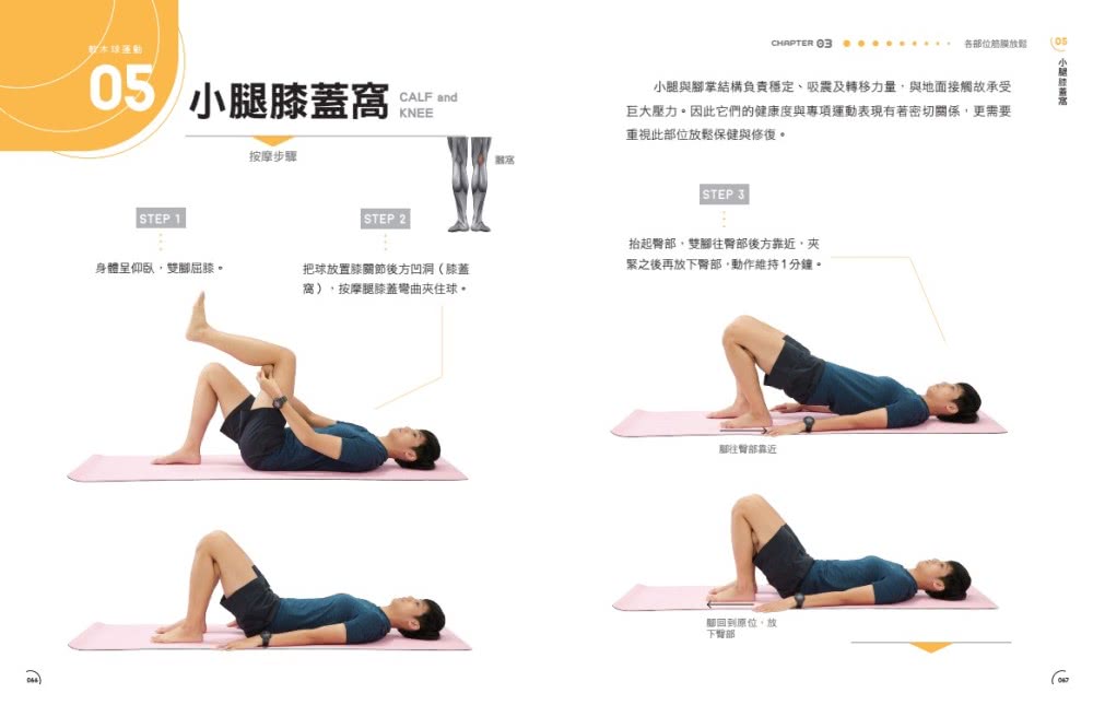 圖解肌筋膜伸展運動―44組全身筋膜按摩、伸展放鬆全書