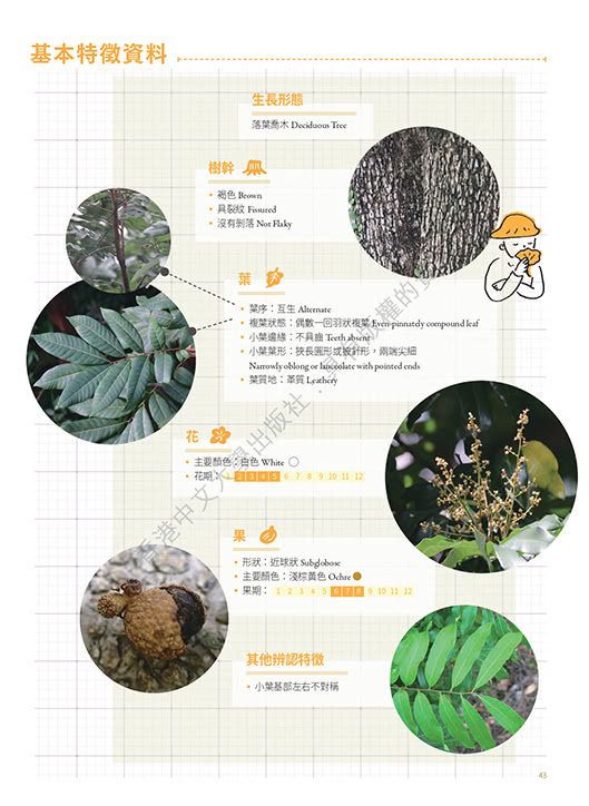 香港四季色：身邊的植物學（夏）