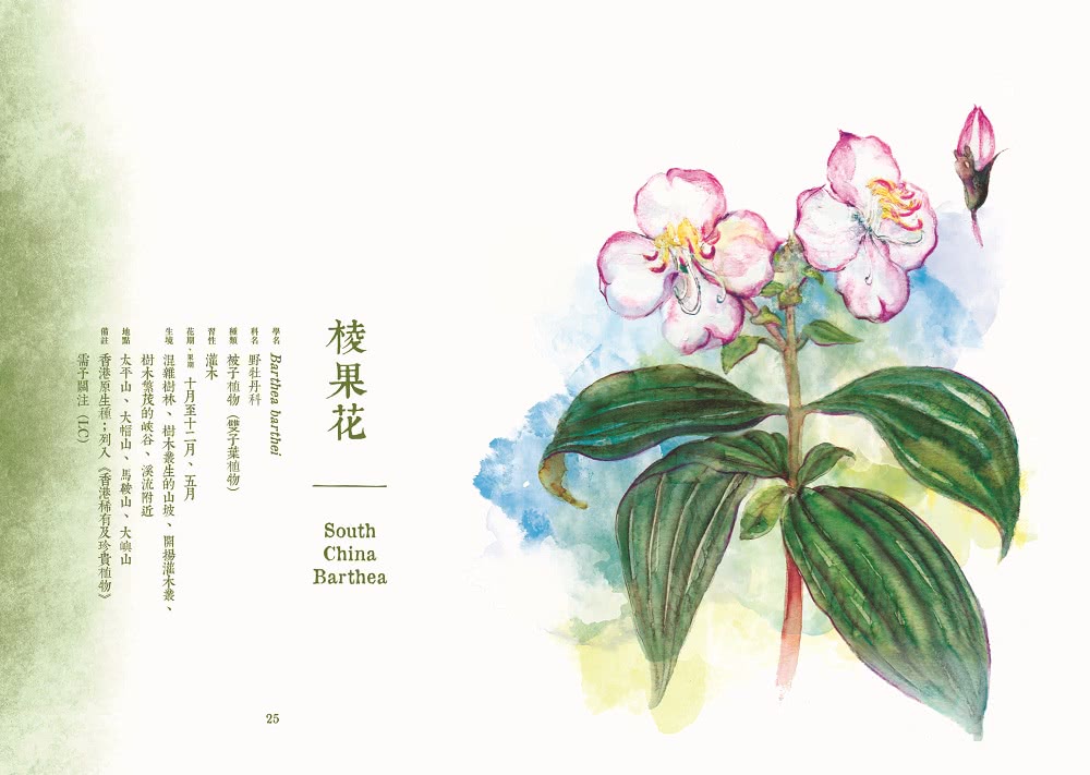 尋花 2 ：香港原生植物手札（增訂版）