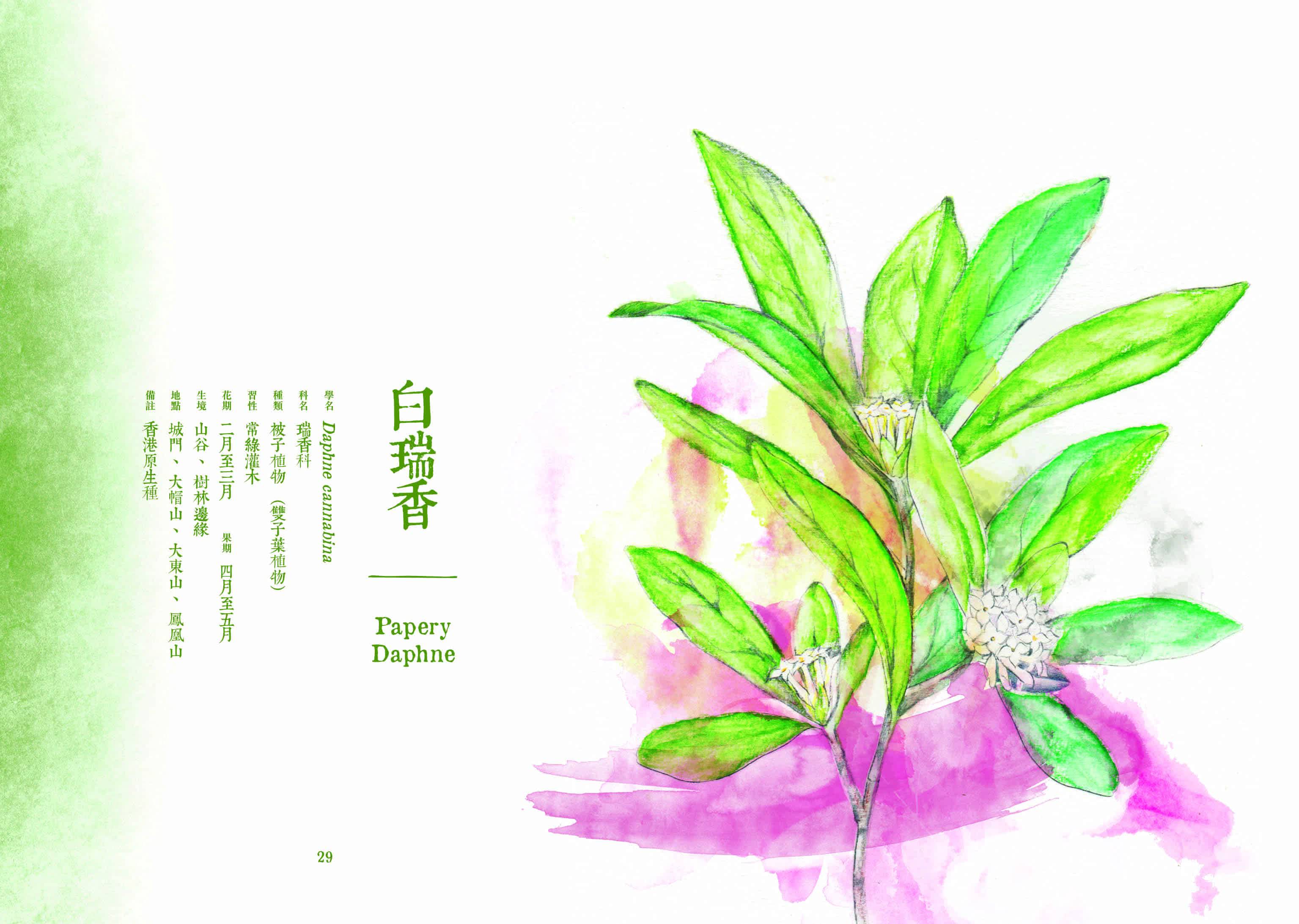 尋花 2 ：香港原生植物手札（增訂版）