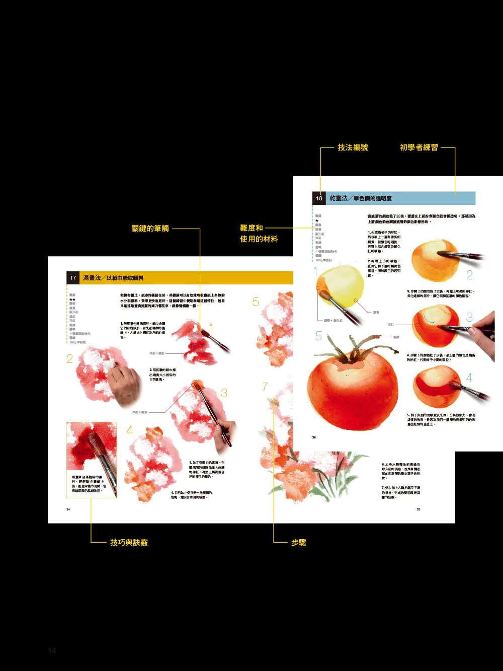 水彩技法全書【暢銷紀念版】：101招出色技法全解析