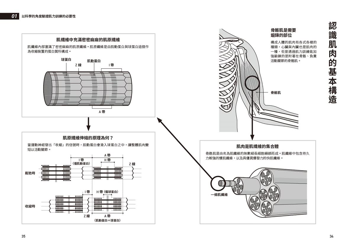 科學化自主肌力訓練教科書  零基礎也能聰明打造理想體態