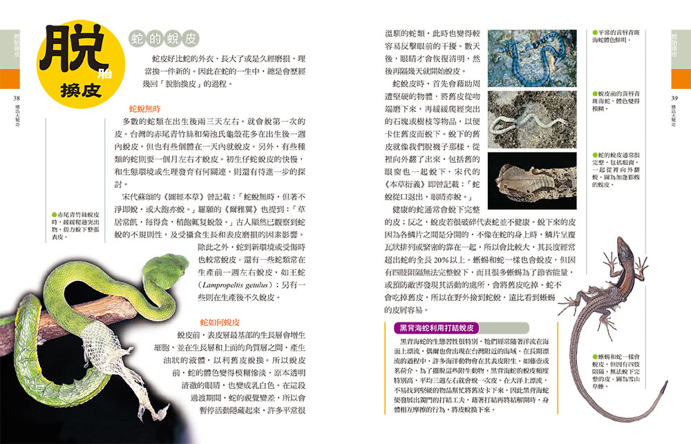 蛇類大驚奇：55個驚奇主題&55種台灣蛇類圖鑑