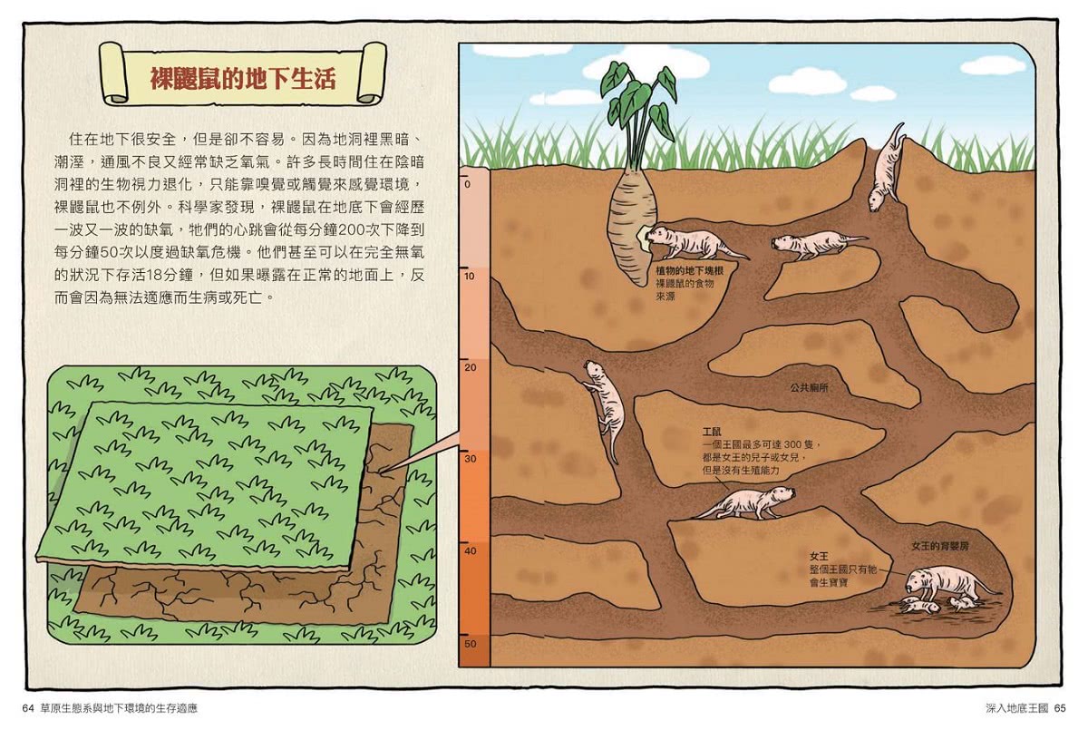 達克比辦案14：莽原生死鬥：草原生態系與地下環境的生存適應