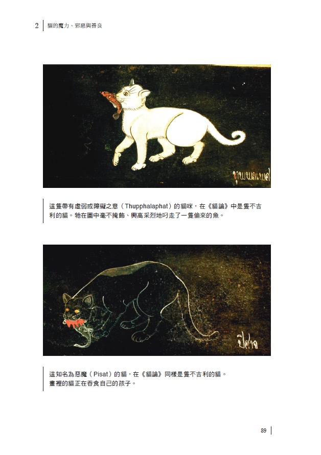 貓的世界史【隨書附贈占領世界的貓貓圖鑑貼紙】