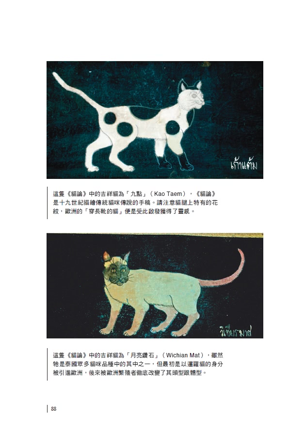 貓的世界史【隨書附贈占領世界的貓貓圖鑑貼紙】