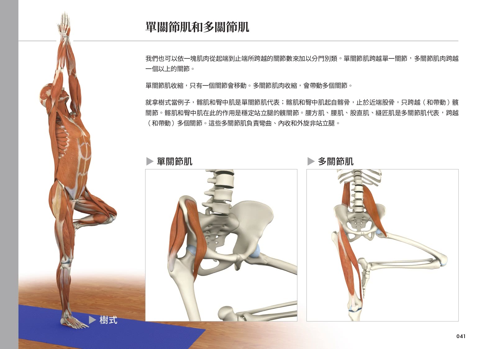雷隆醫師的瑜伽解剖Ⅰ：關鍵肌肉