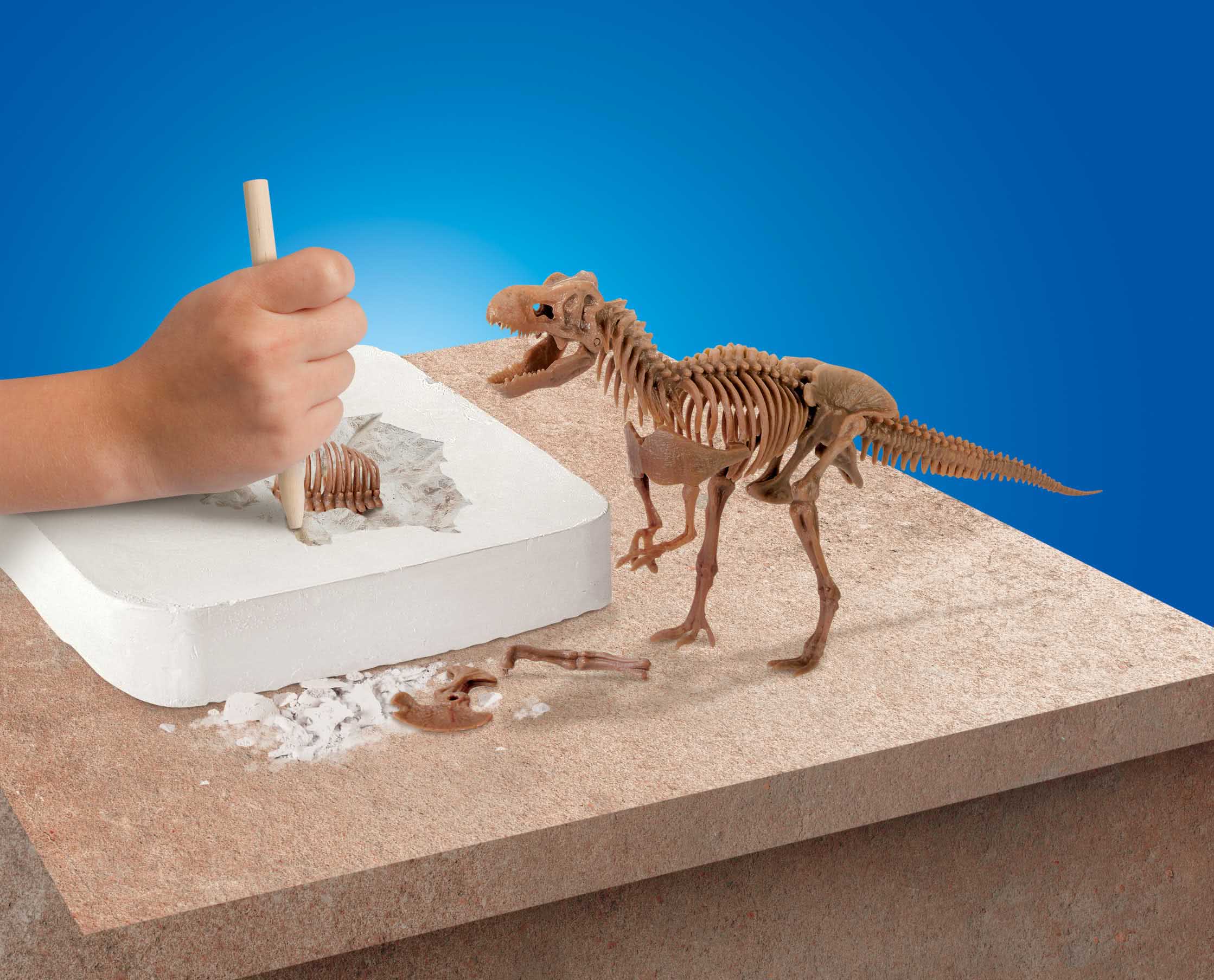 Discovery 恐龍化石挖掘套組-霸王龍立體拼圖