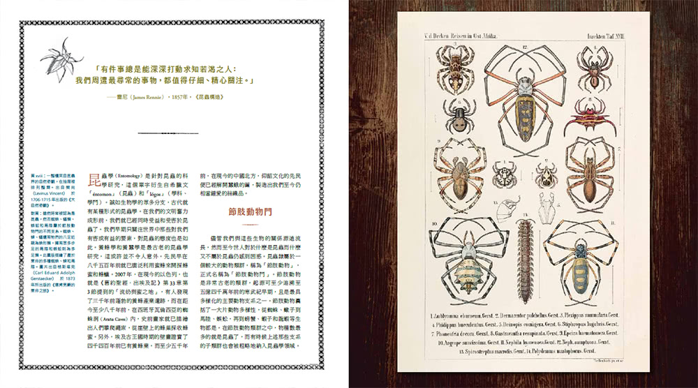 蟲之道：昆蟲的構造、行為和習性訴說的生命史詩