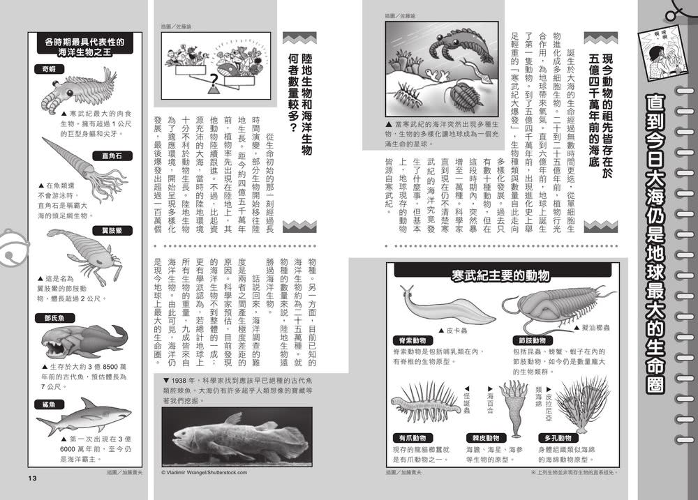 哆啦A夢科學任意門（11-15集）