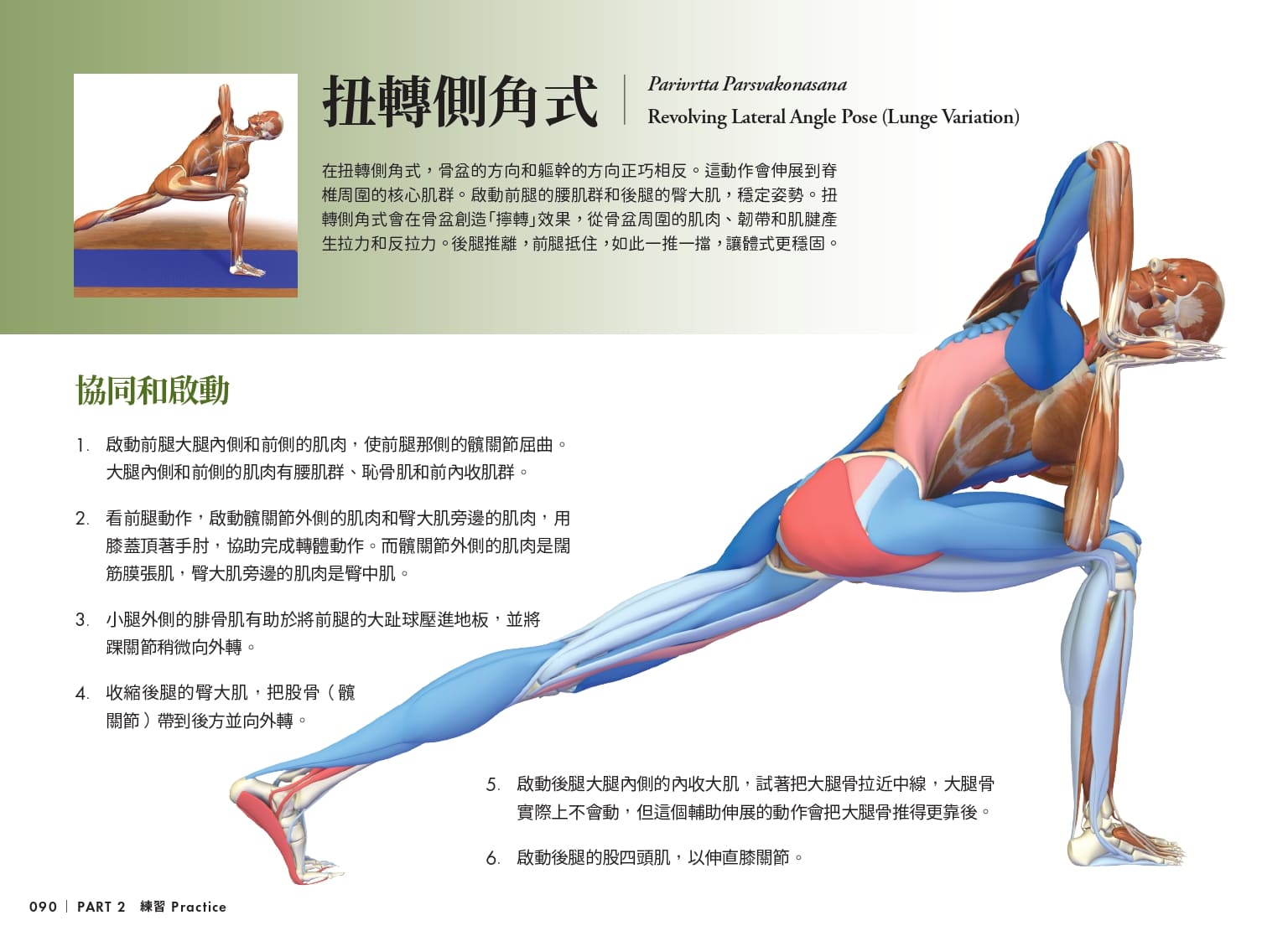 雷隆醫師的瑜伽解剖Ⅱ：關鍵體式