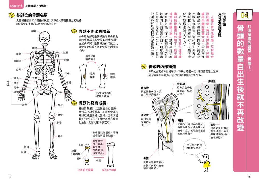 健身、減重必讀人體操作手冊：超・基礎人體學