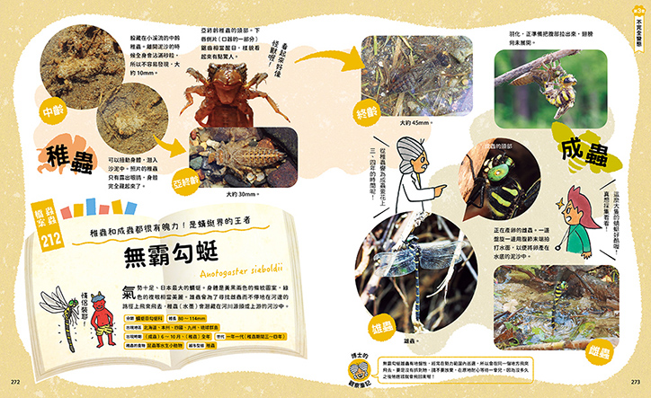 昆蟲變態圖鑑：222種千奇百怪的昆蟲生態全收錄！