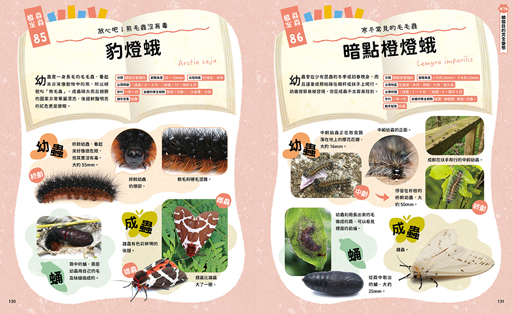昆蟲變態圖鑑：222種千奇百怪的昆蟲生態全收錄！