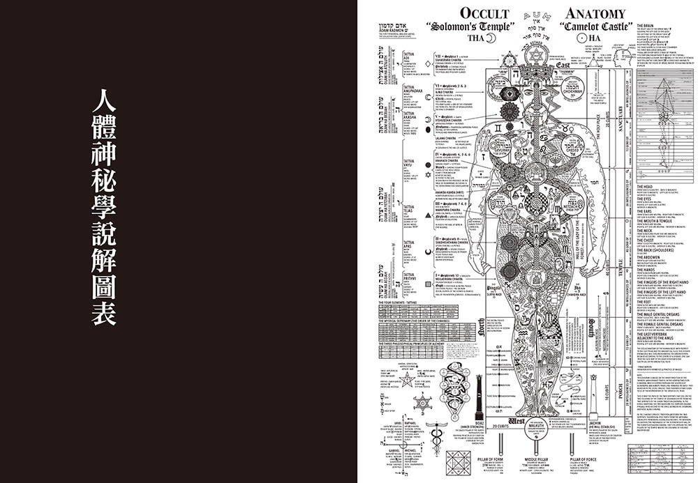 人體的神與秘；從占星、塔羅、薩滿、靈修、魔法神話、天使精靈