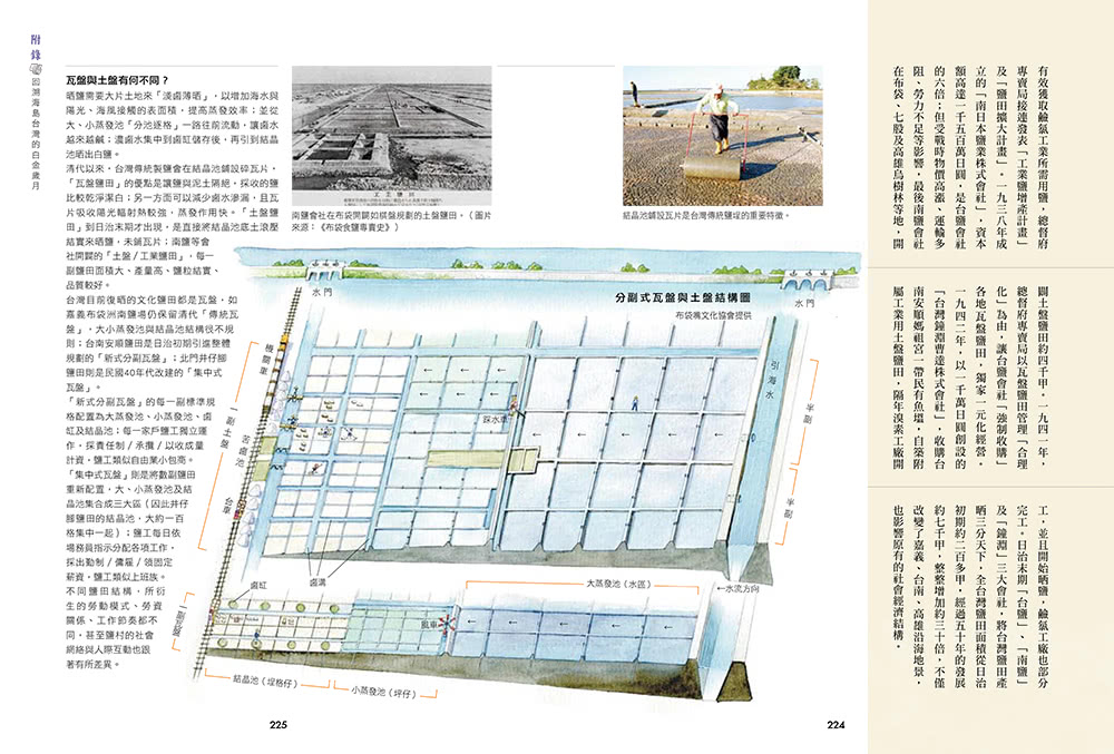 鹽選島滋味：7種鹽漬風土物產 × 8位職人用鹽心法× 10處鹽場在地故事