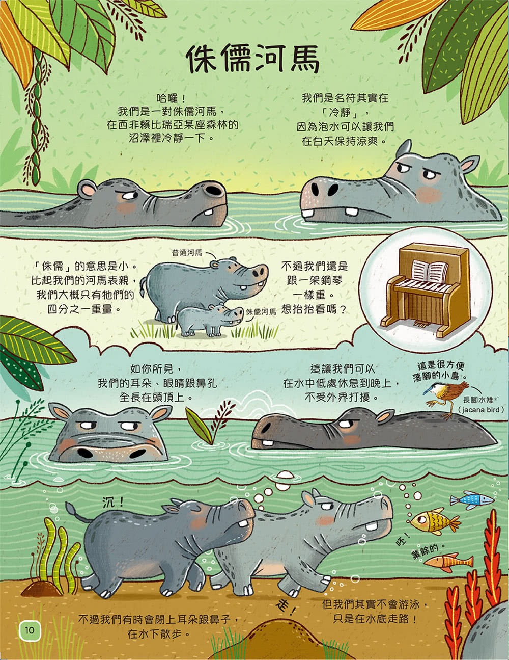 【歡迎來我家！動物的奇妙生活1〜2】（兩冊）：陸地動物+極地、水生與夜間動物