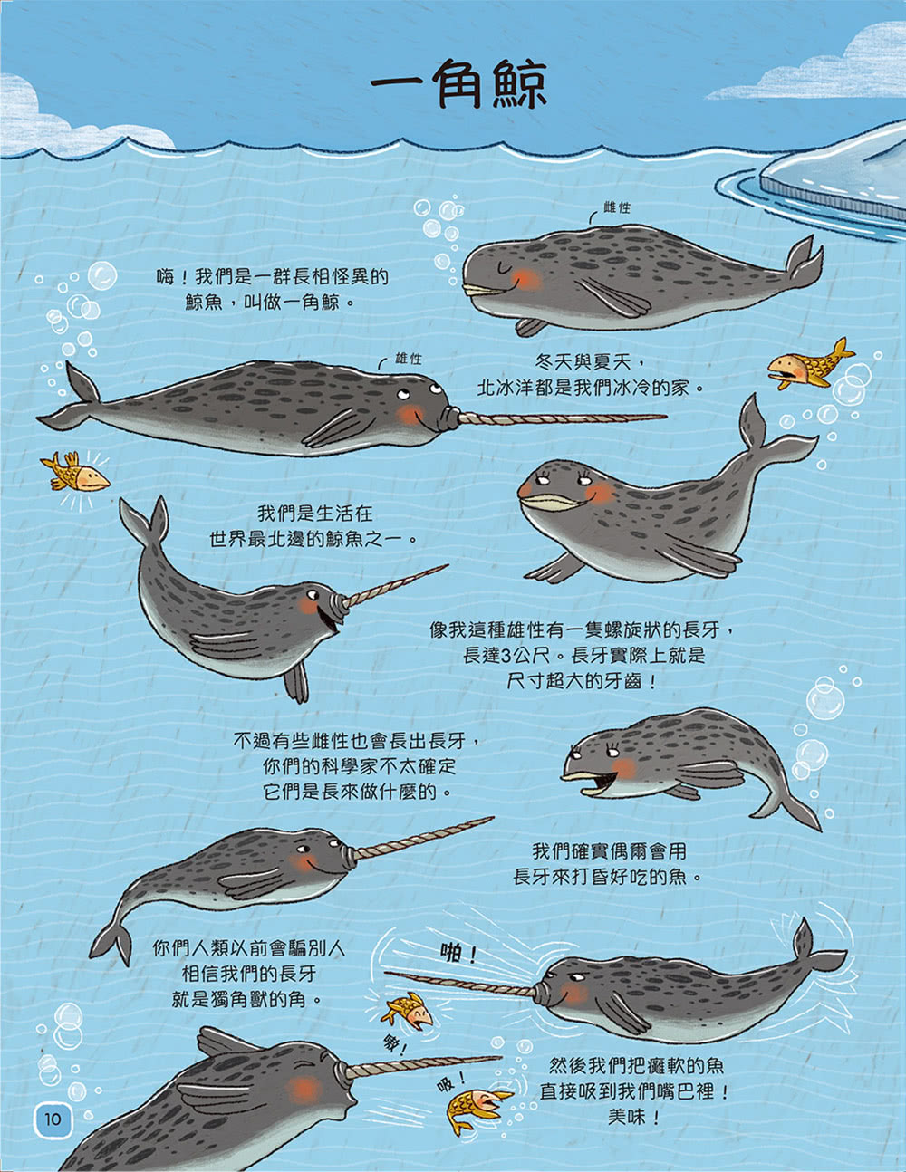 【歡迎來我家！動物的奇妙生活1〜2】（兩冊）：陸地動物+極地、水生與夜間動物