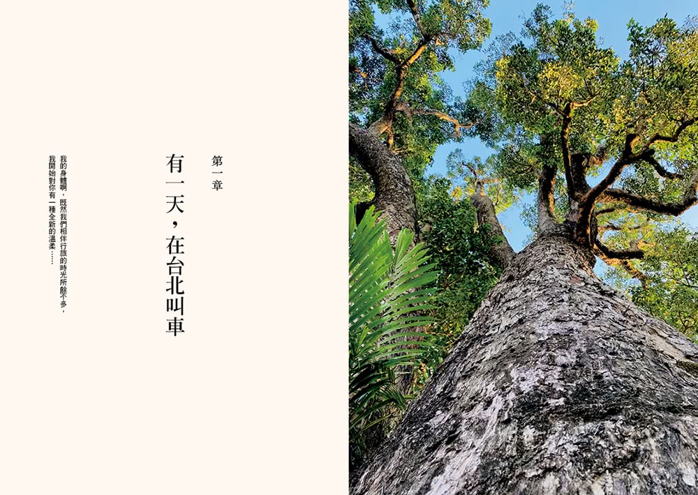 注視—都蘭野書（平裝）