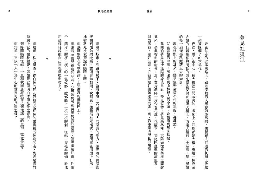 注視—都蘭野書（平裝）