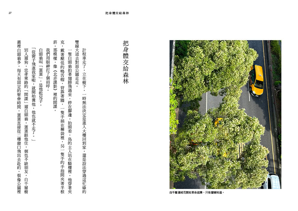 注視—都蘭野書（平裝）