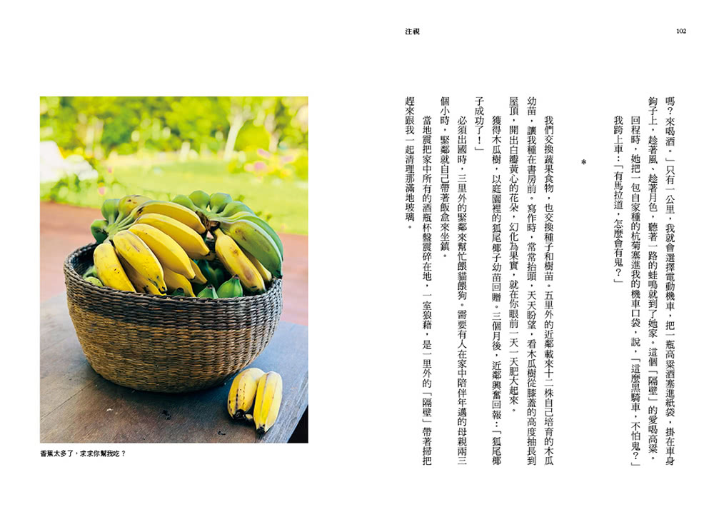 注視—都蘭野書（平裝）