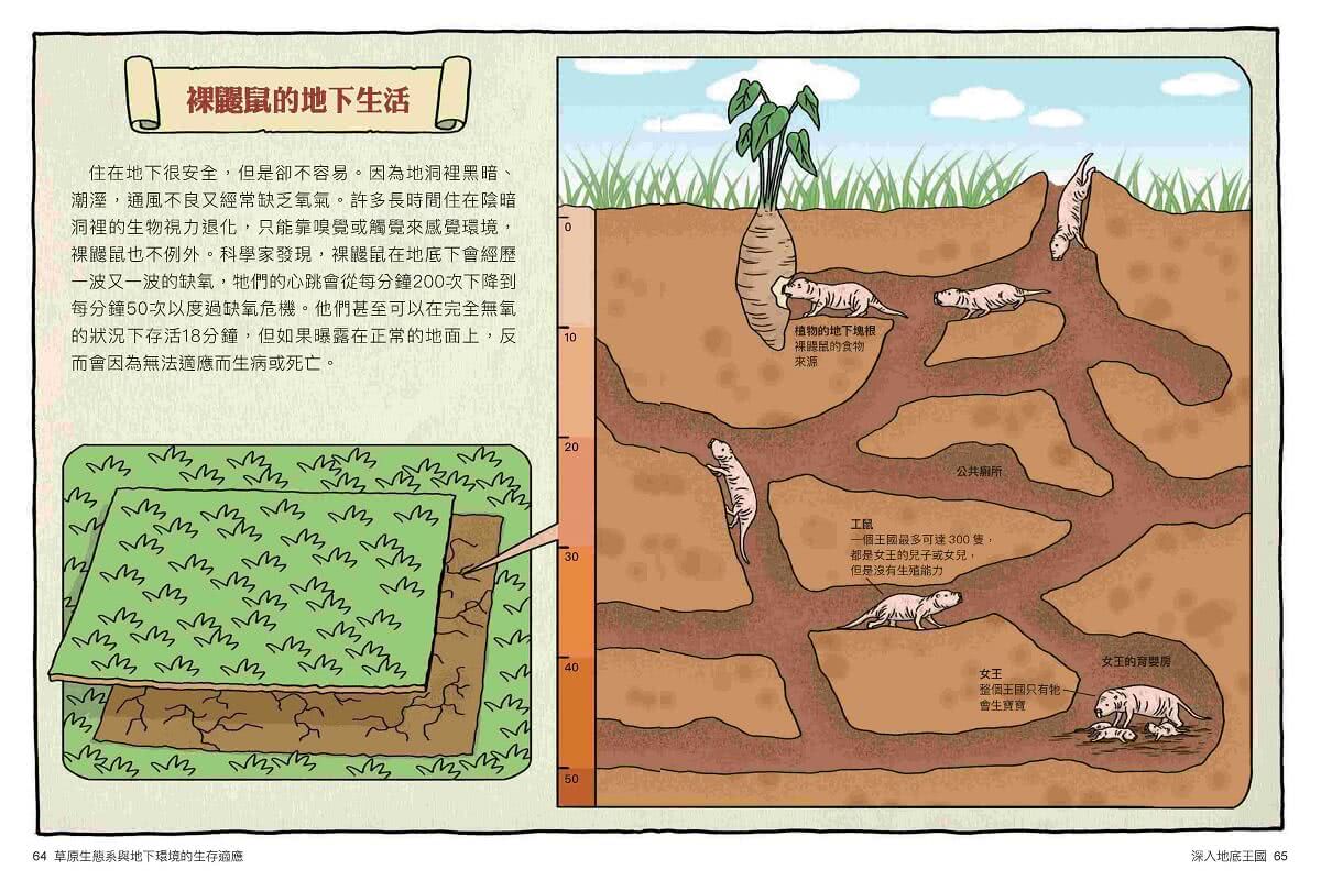 達克比辦案11-15集套書（共五冊）