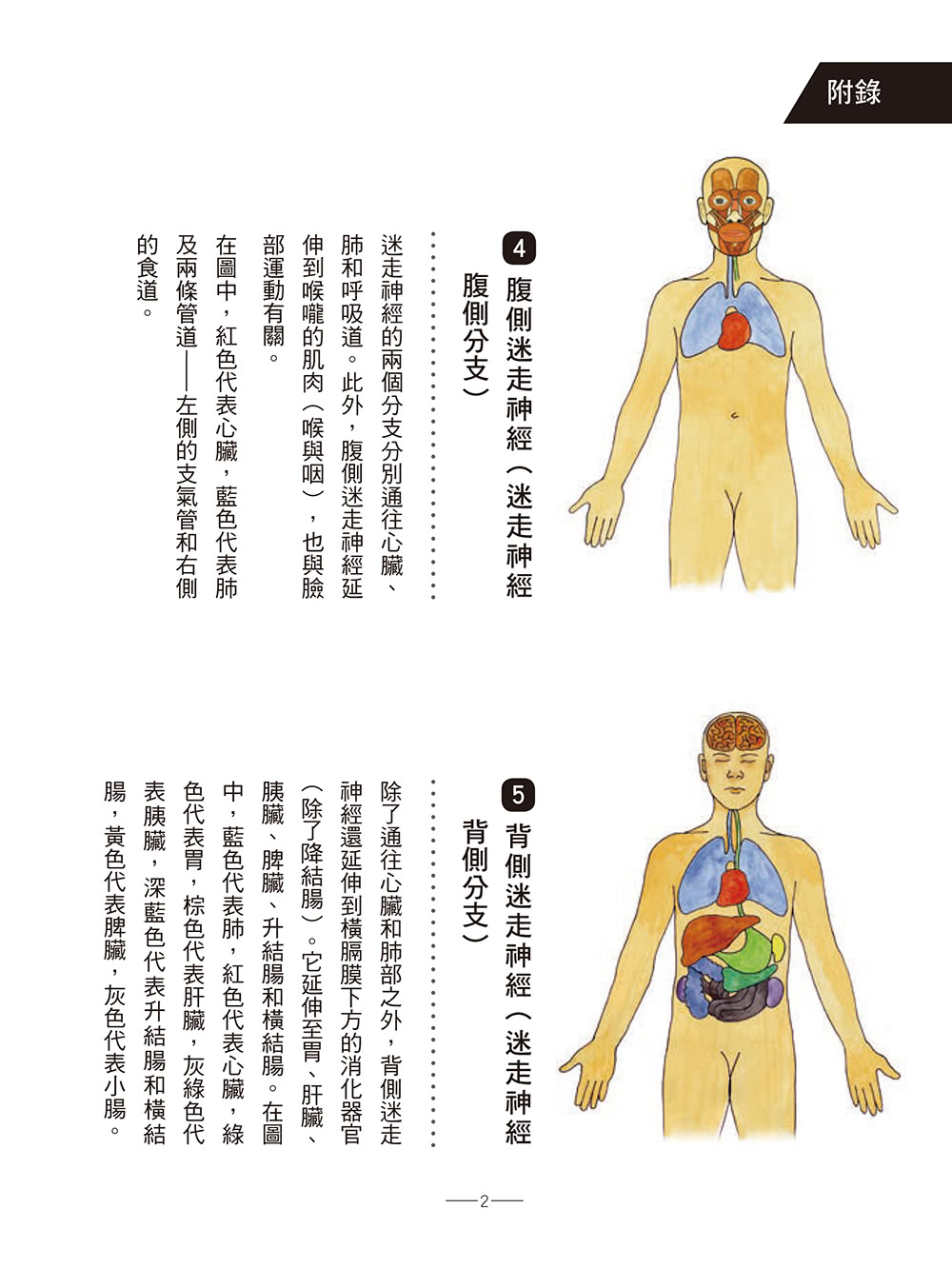 迷走神經自我檢測與療癒聖經：為壓力與病痛找到解方！修復創傷、焦慮、憂鬱、自閉症、偏頭痛、呼吸障礙、胃