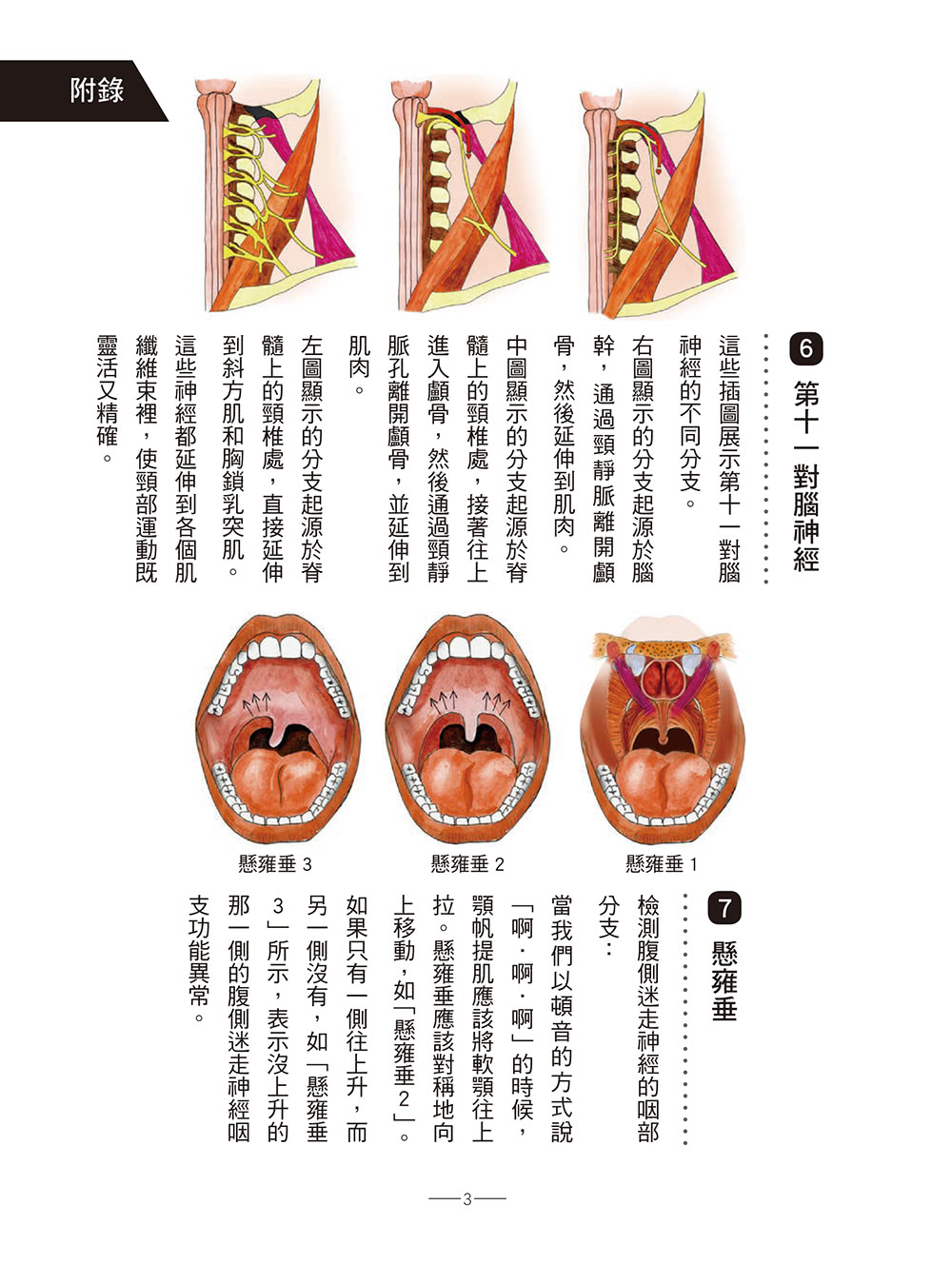 迷走神經自我檢測與療癒聖經：為壓力與病痛找到解方！修復創傷、焦慮、憂鬱、自閉症、偏頭痛、呼吸障礙、胃