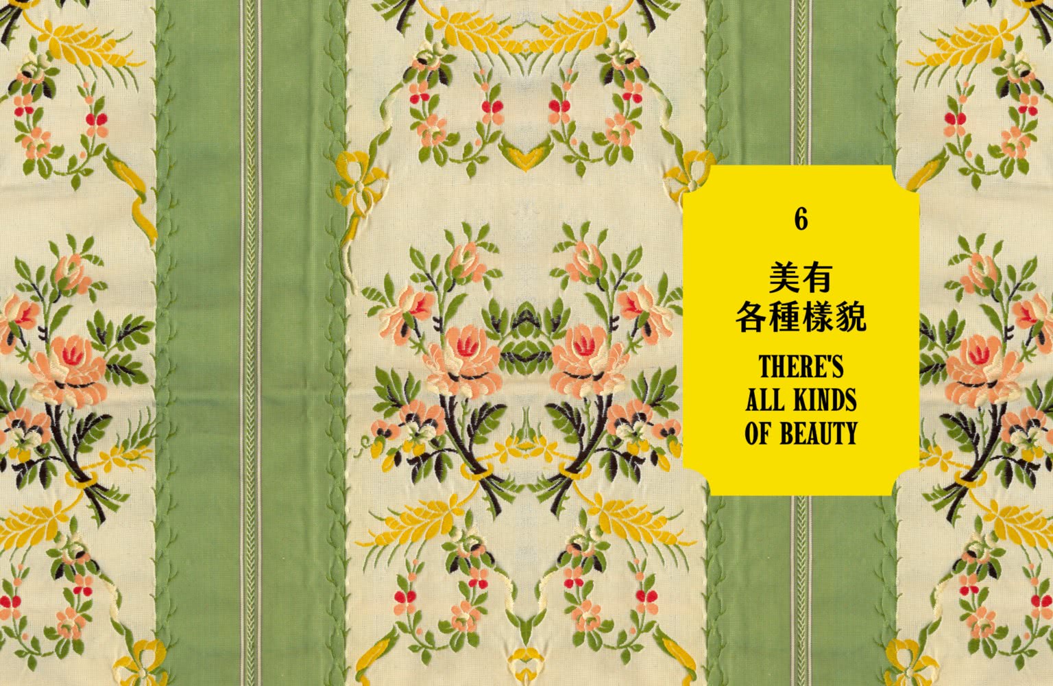 多彩：讓世界為之瘋狂的百歲時尚阿嬤艾瑞絲．埃普菲爾的多彩人生