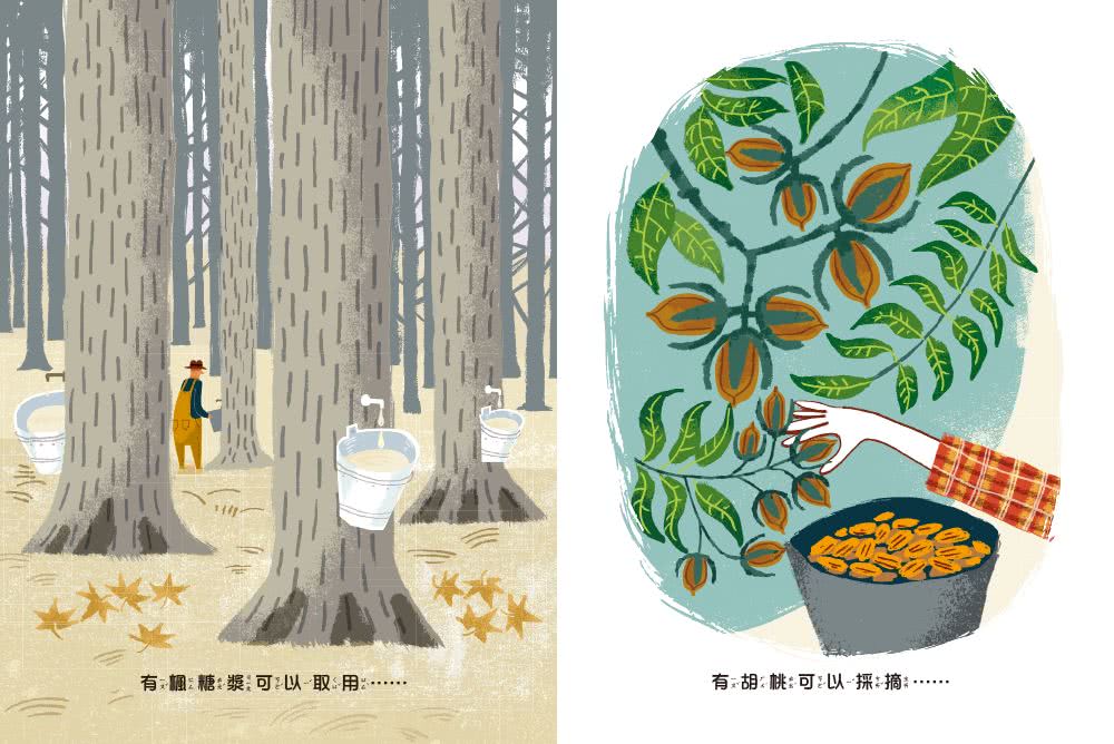 感謝有樹：樹木帶來令人驚喜的美好生活（SDGs生態永續繪本）