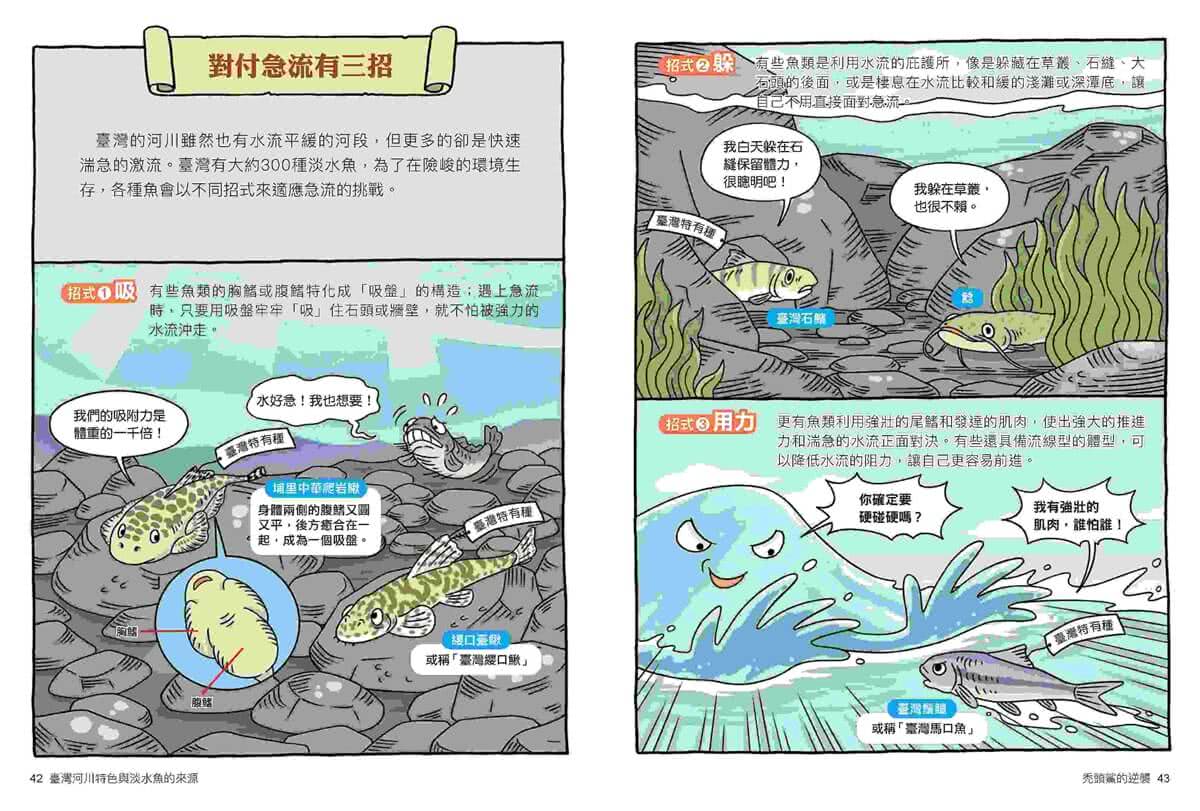 達克比辦案16：激流東西軍：臺灣河川特色與淡水魚的來源