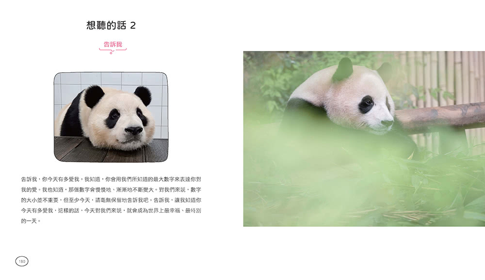 全知福寶視角：小爺爺宋寶眼中的福寶幸福肥日常（首刷限量贈：拍立得風格透卡一張）
