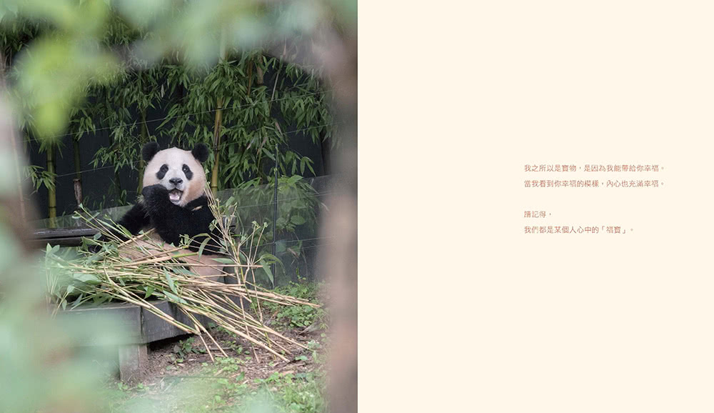 全知福寶視角：小爺爺宋寶眼中的福寶幸福肥日常（首刷限量贈：拍立得風格透卡一張）