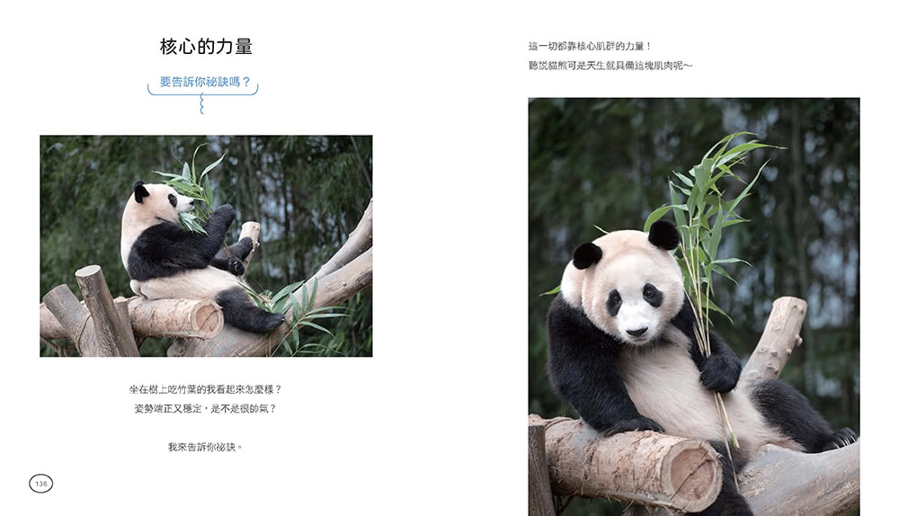 全知福寶視角：小爺爺宋寶眼中的福寶幸福肥日常（首刷限量贈：拍立得風格透卡一張）