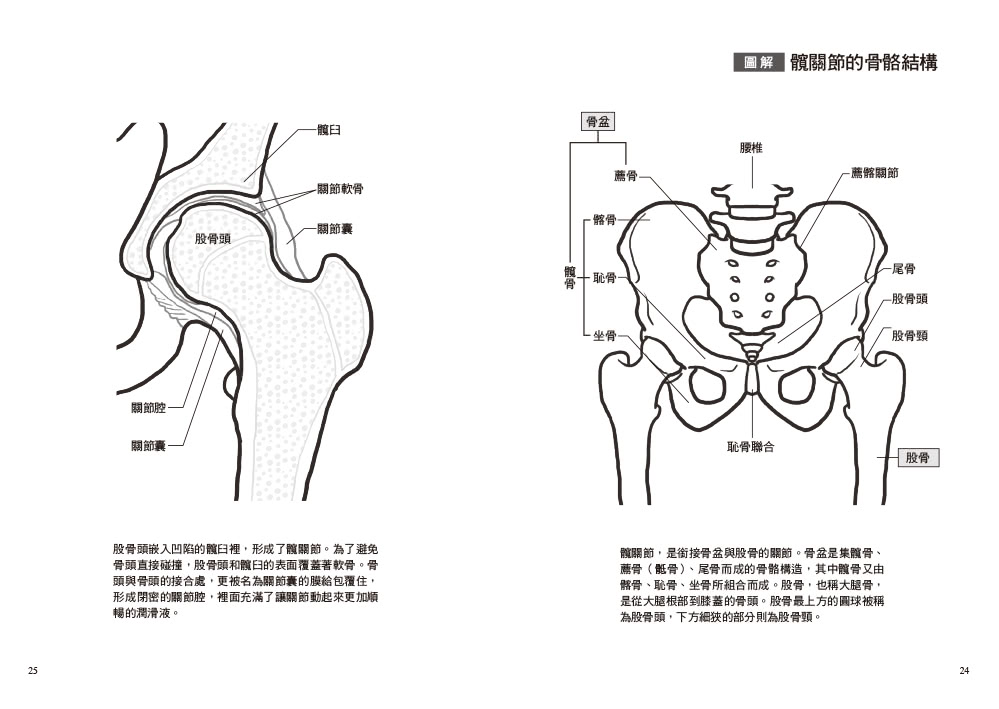 不老，從髖關節開始：強化核心力量，打造柔軟度、穩定度與靈活度