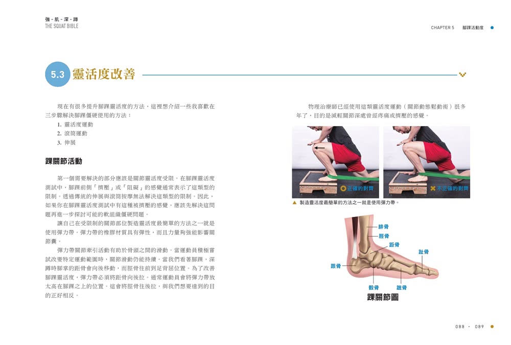 強肌健身訓練攻略：《健身新手重訓攻略》＋《強肌深蹲》【二合一鍛鍊套組】