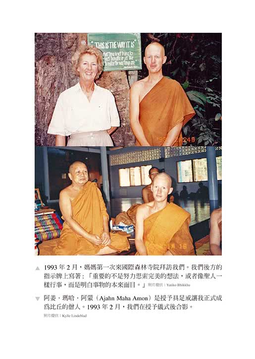 我可能錯了：森林智者的最後一堂人生課