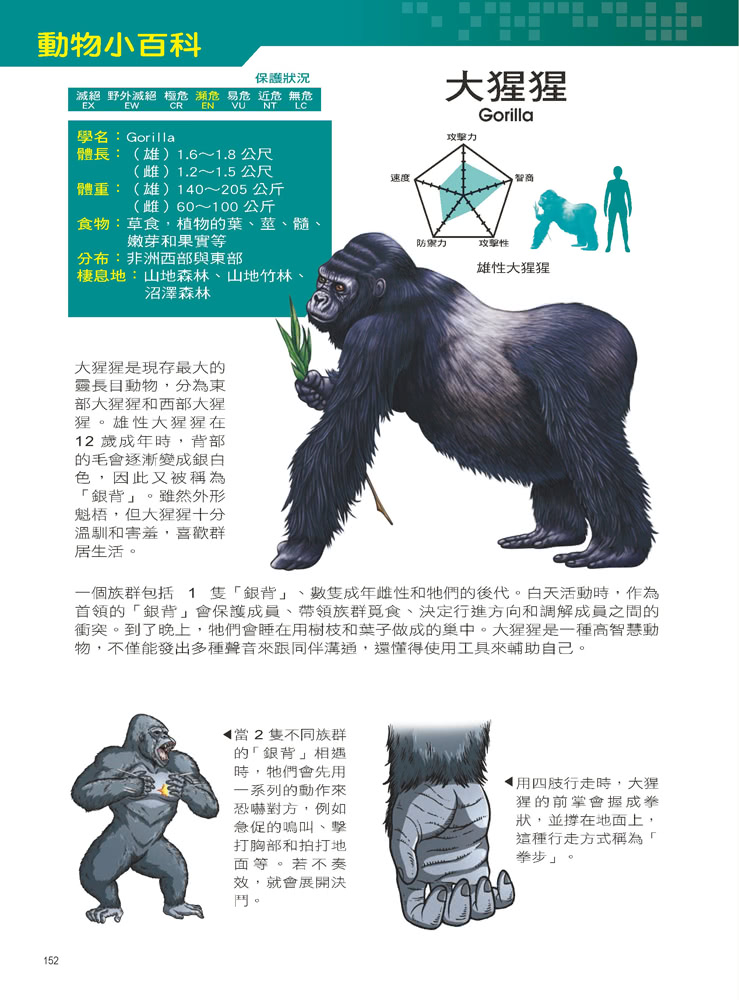Ｘ萬獸探險隊：（2） 霸王大對決 大猩猩VS棕熊（附學習單）